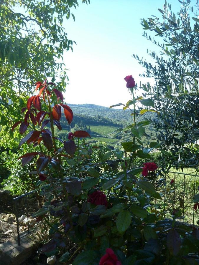 Podere Palazzolo (adults Only) Castellina in Chianti