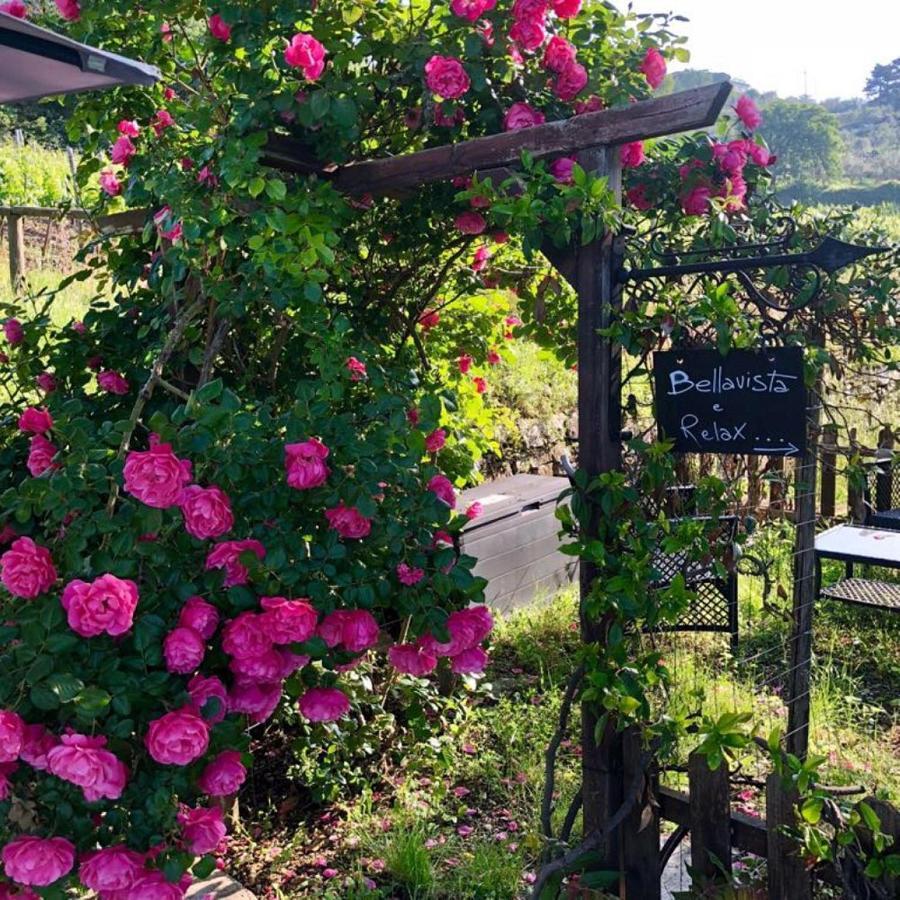 Casa di campagna Podere Palazzolo (adults Only)