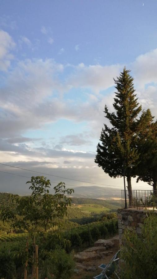 Casa di campagna Podere Palazzolo (adults Only)