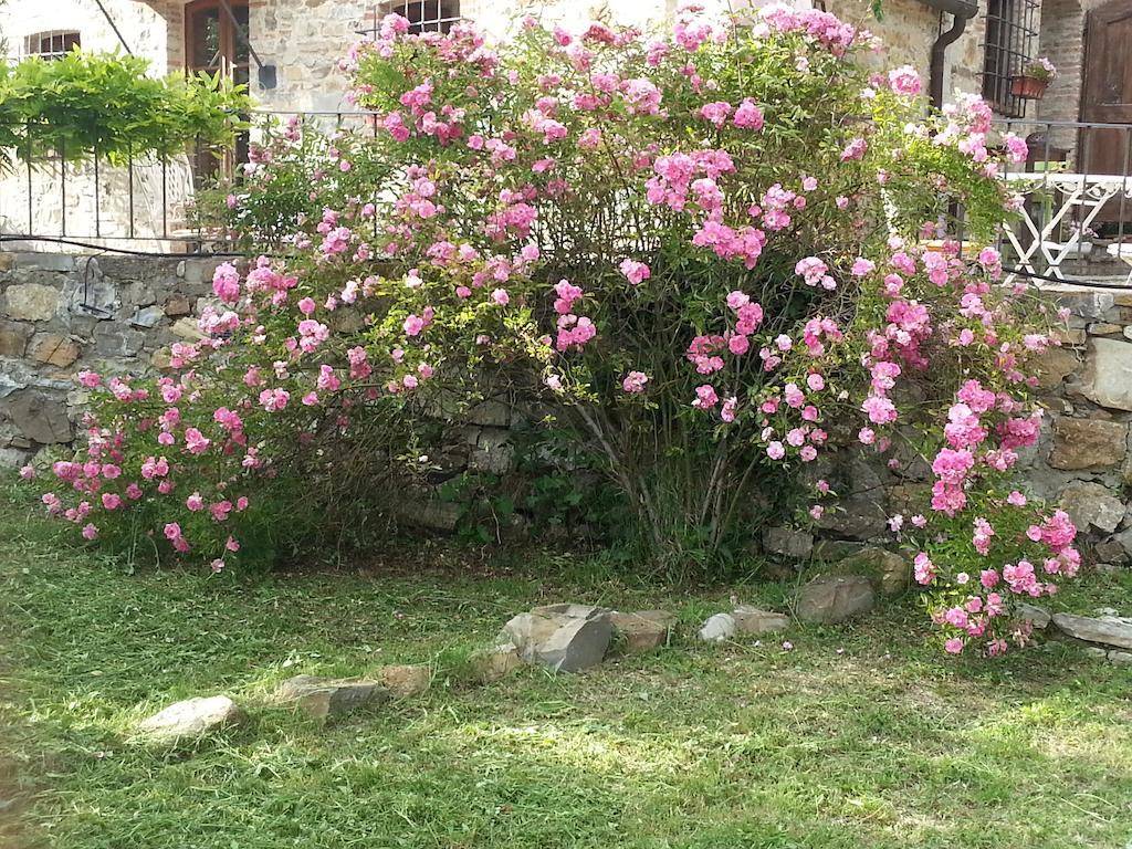 Casa di campagna Podere Palazzolo (adults Only) Castellina in Chianti